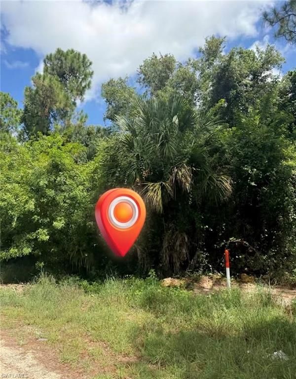 913 ABBEY ST E, LEHIGH ACRES, FL 33974 — exterior