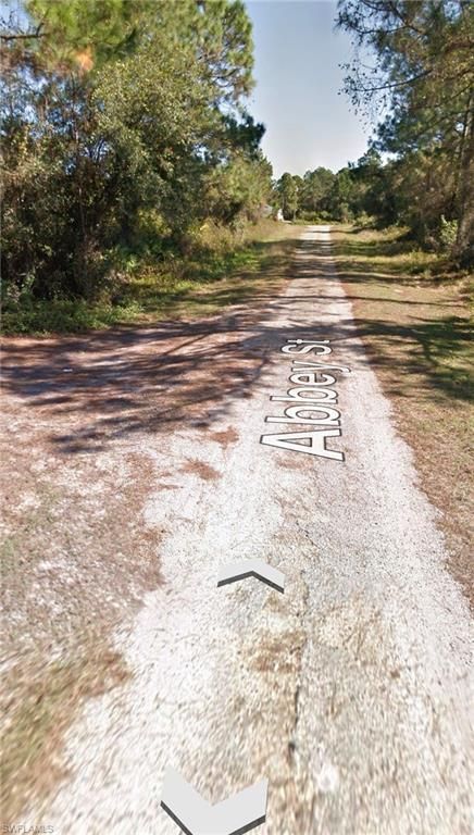 913 ABBEY ST E, LEHIGH ACRES, FL 33974 — photo 3