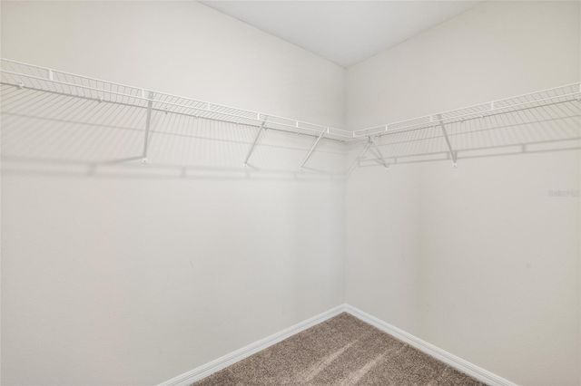 14886 SUMMER BRANCH DRIVE, Lithia, FL 33547