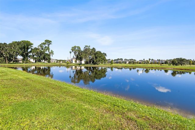 14886 SUMMER BRANCH DRIVE, Lithia, FL 33547