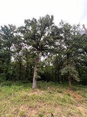 117 Inca Trail, Mabank, TX 75156
