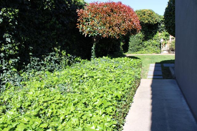 1637 Carlisle Ave, Modesto, CA 95356