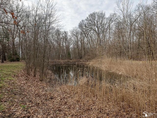 20599 Ida Center Road, Summerfield Twp, MI 49238