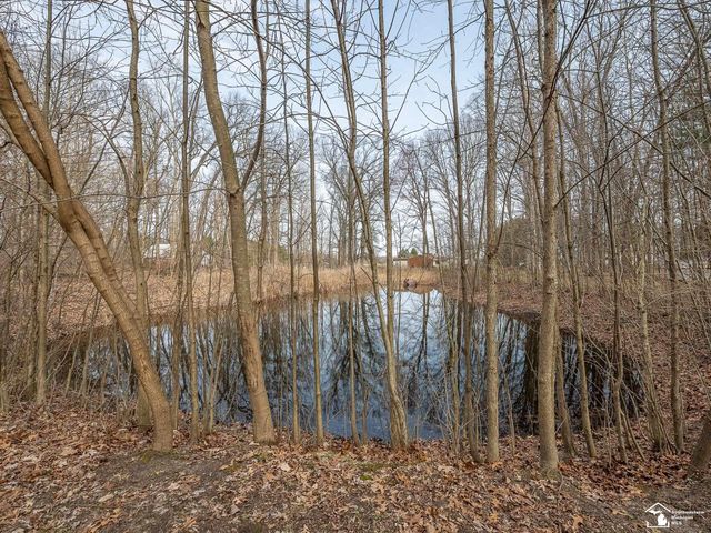 20599 Ida Center Road, Summerfield Twp, MI 49238