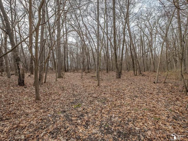 20599 Ida Center Road, Summerfield Twp, MI 49238