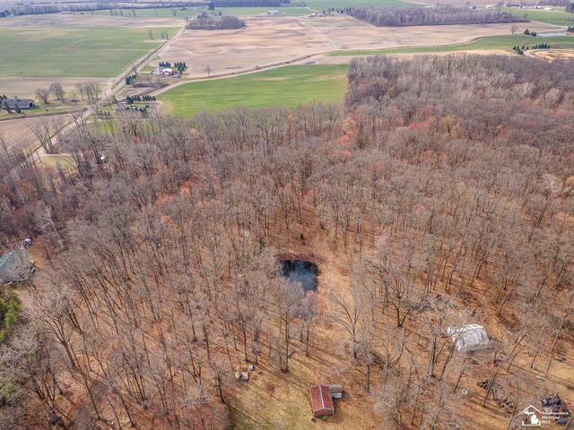 20599 Ida Center Road, Summerfield Twp, MI 49238
