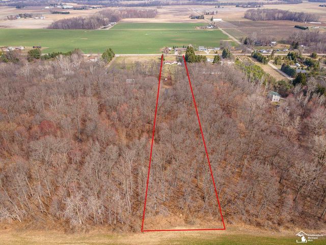 20599 Ida Center Road, Summerfield Twp, MI 49238
