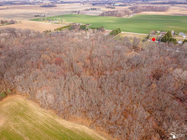 20599 Ida Center Road, Summerfield Twp, MI 49238