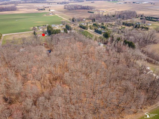 20599 Ida Center Road, Summerfield Twp, MI 49238