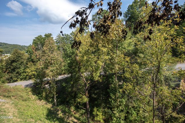 1717 Summit View Way, Pigeon Forge, TN 37862