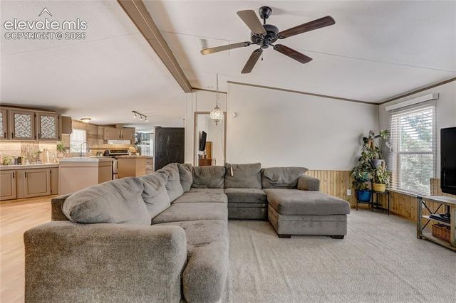 784 Blossom Road, Woodland Park, CO 80863