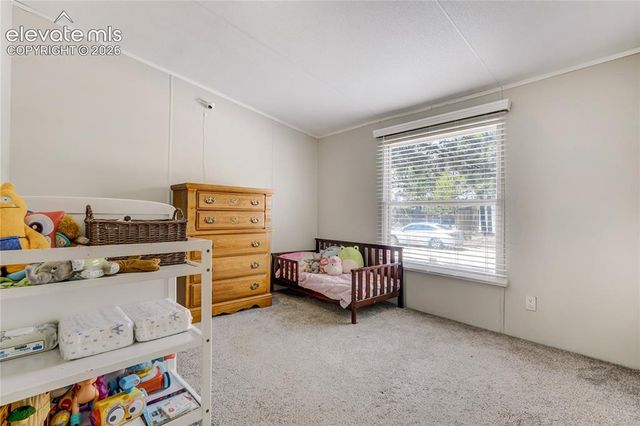 784 Blossom Road, Woodland Park, CO 80863