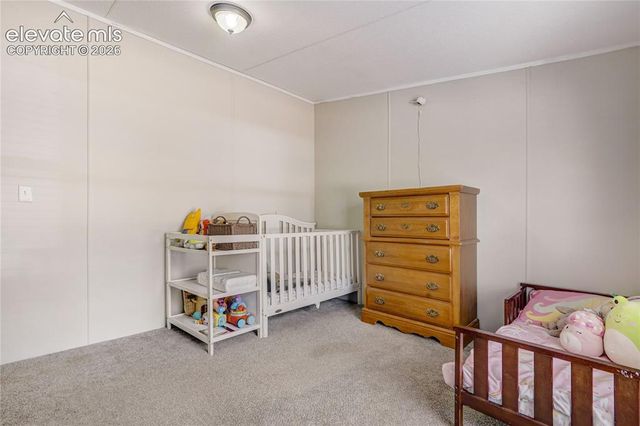 784 Blossom Road, Woodland Park, CO 80863