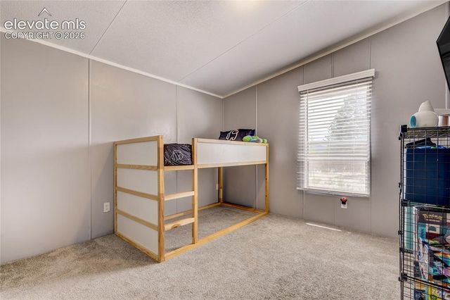 784 Blossom Road, Woodland Park, CO 80863