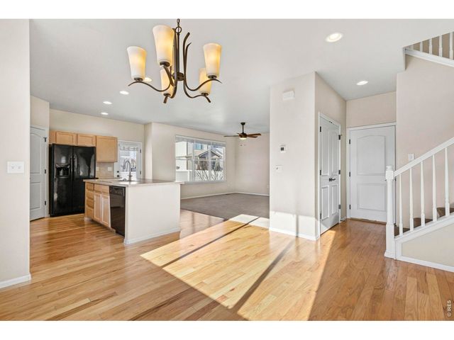 431 Ptarmigan St, Severance, CO 80550