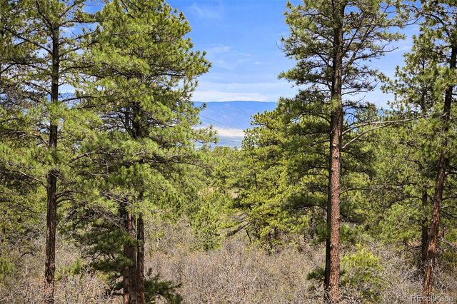 1851 Gore Drive, Larkspur, CO 80118
