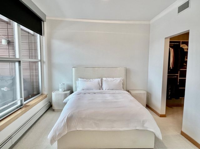 215 10th Avenue S 534, Minneapolis, MN 55415