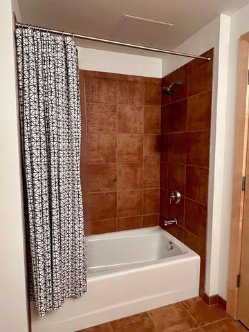 215 10th Avenue S 534, Minneapolis, MN 55415