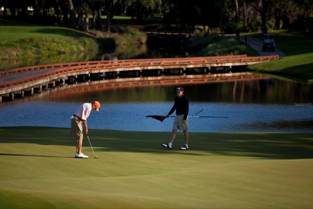 538 DOVE POINTE DRIVE, Osprey, FL 34229