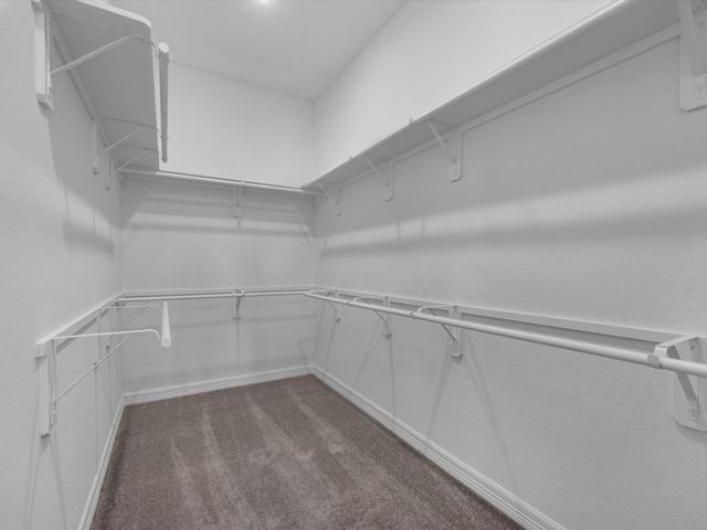 19035 Magnolia Willow Lane, Magnolia, TX 77355