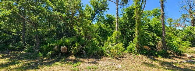 DRAGON STREET, North Port, FL 34288