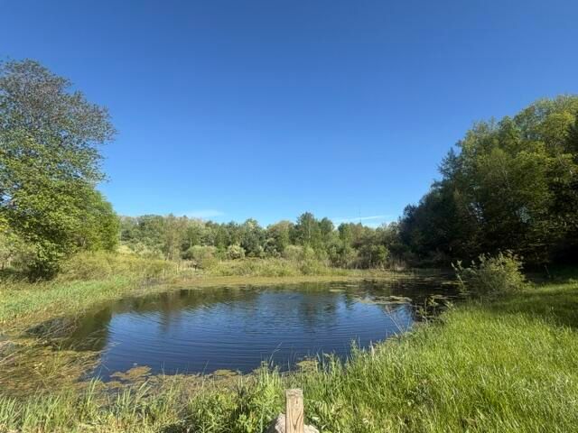 1674 W 104th Street, Grant, MI 49327