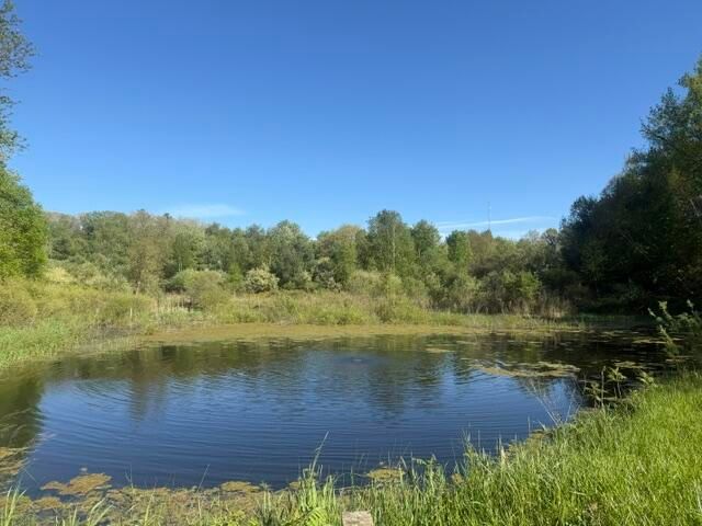 1674 W 104th Street, Grant, MI 49327