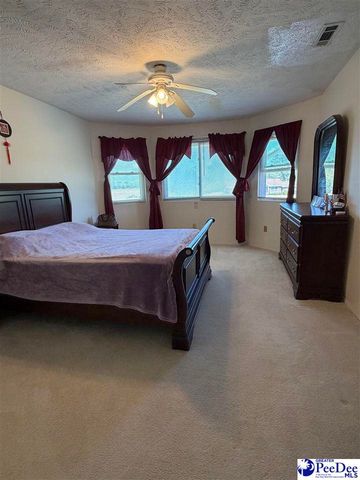 2070 E Lynches River Rd, Timmonsville, SC 29161