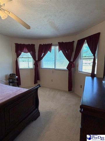 2070 E Lynches River Rd, Timmonsville, SC 29161