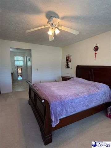 2070 E Lynches River Rd, Timmonsville, SC 29161