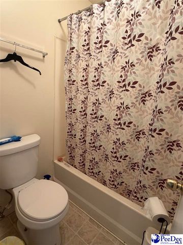 2070 E Lynches River Rd, Timmonsville, SC 29161