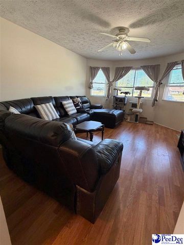 2070 E Lynches River Rd, Timmonsville, SC 29161