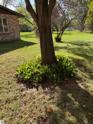 623 Mill Street, Alma, MI 48801