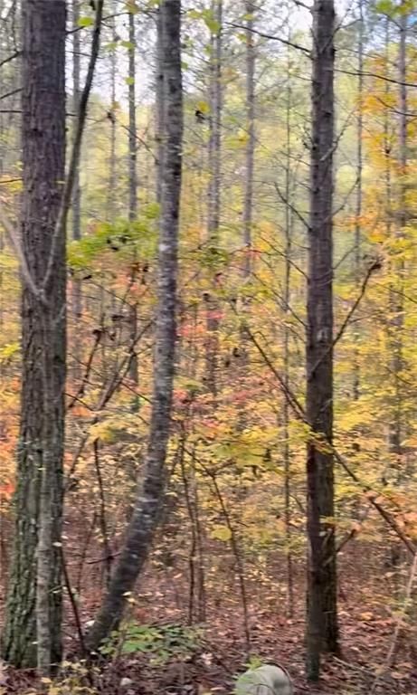 33 Eagle Ridge, Ball Ground, GA 30107