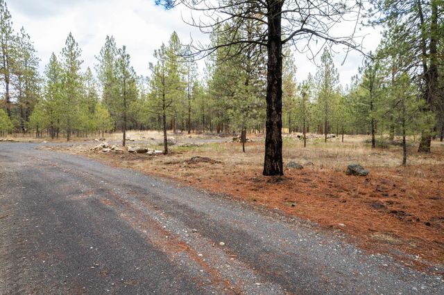 52282 Woods Ln, Ford, WA 99013