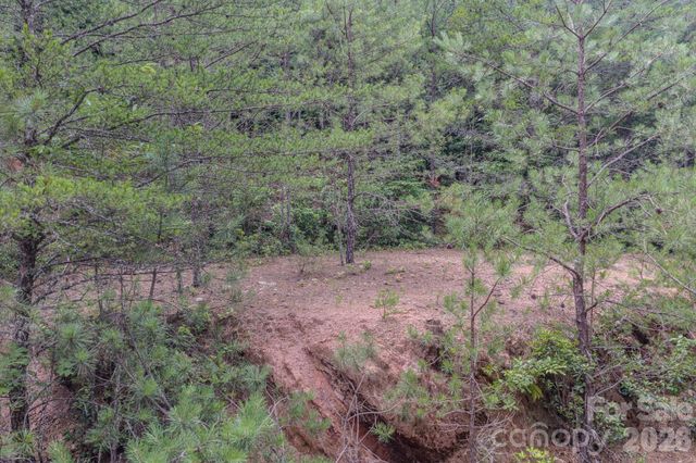 35 Coweeta Ridge Road, Otto, NC 28763