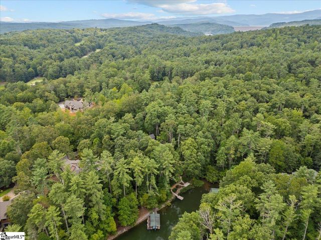 205 Pitcher Plant Lane, Sunset, SC 29685