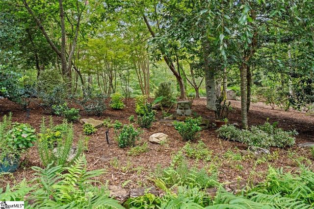 205 Pitcher Plant Lane, Sunset, SC 29685