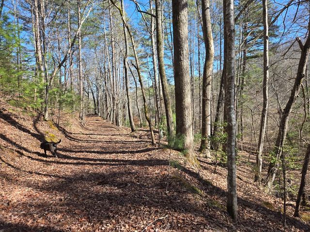 Lot 78 Natures Courtyard, Mineral Bluff, GA 30559