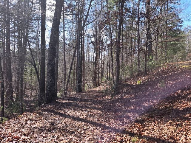 Lot 78 Natures Courtyard, Mineral Bluff, GA 30559