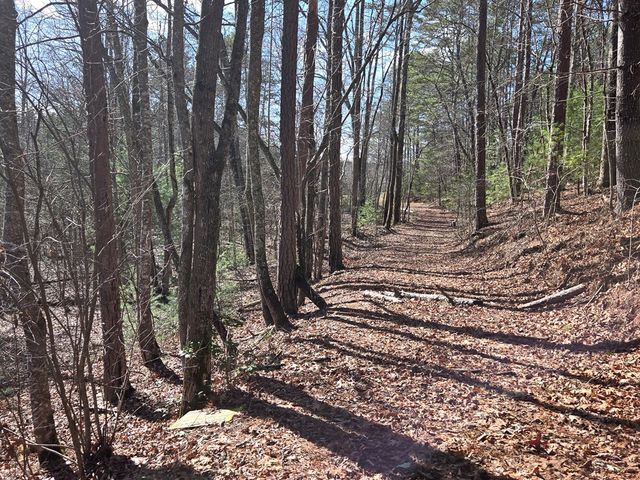 Lot 78 Natures Courtyard, Mineral Bluff, GA 30559