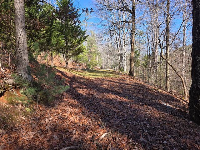 Lot 78 Natures Courtyard, Mineral Bluff, GA 30559