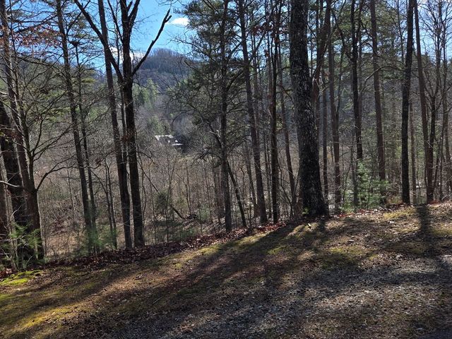 Lot 78 Natures Courtyard, Mineral Bluff, GA 30559
