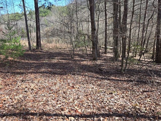 Lot 78 Natures Courtyard, Mineral Bluff, GA 30559