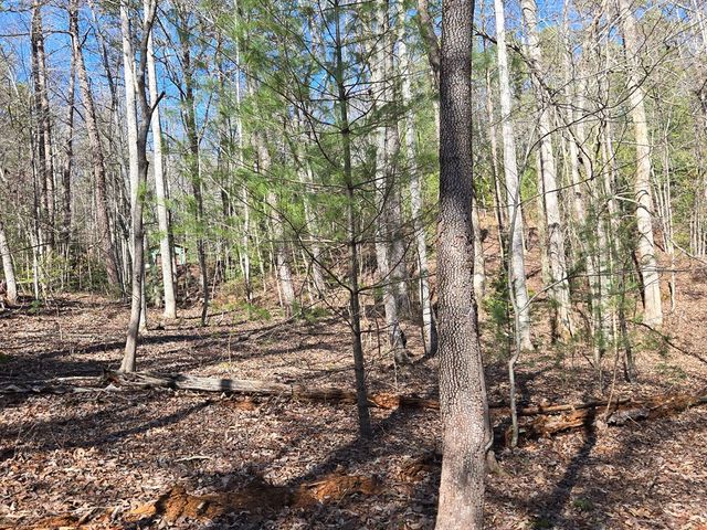 Lot 78 Natures Courtyard, Mineral Bluff, GA 30559