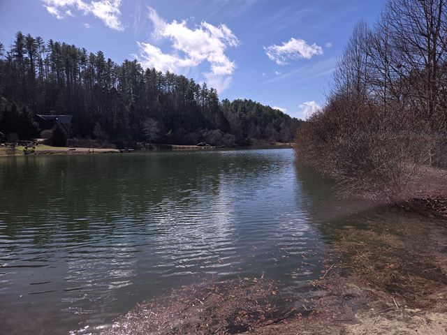Lot 78 Natures Courtyard, Mineral Bluff, GA 30559