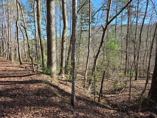 Lot 78 Natures Courtyard, Mineral Bluff, GA 30559