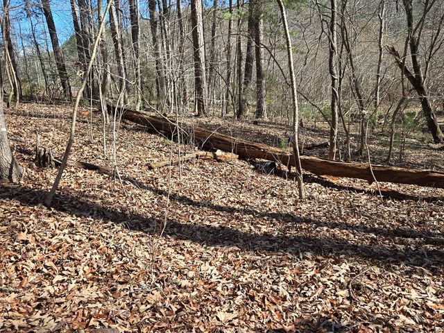 Lot 78 Natures Courtyard, Mineral Bluff, GA 30559