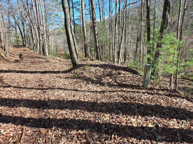 Lot 78 Natures Courtyard, Mineral Bluff, GA 30559
