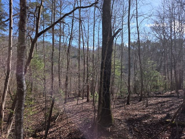 Lot 78 Natures Courtyard, Mineral Bluff, GA 30559